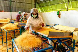 Coir weaving Alappuzha picturesque surroundings