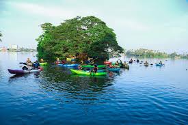 Sunrise kayak tour